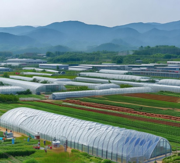 山东梁父山农业科技开发有限公司,科技赋能农业,助力乡村振兴的先行者 山东梁父山农业科技开发有限公司,科技赋能农业,助力乡村振兴的先行者